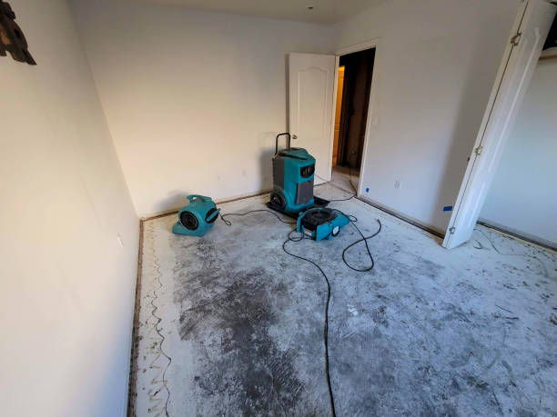 Best Water damage restoration near me  in Biscayne Park, FL