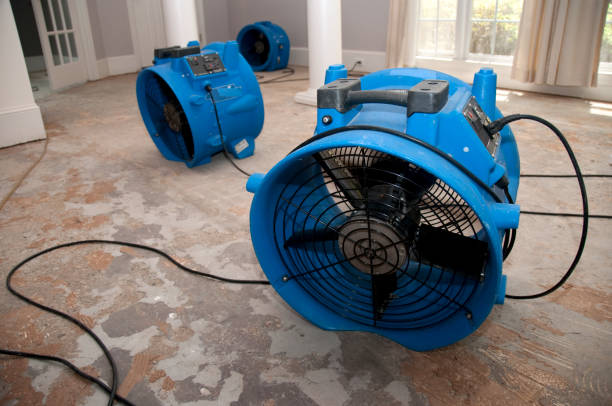 Best Emergency water extraction  in Biscayne Park, FL