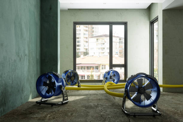 Best Ceiling water damage repair  in Biscayne Park, FL